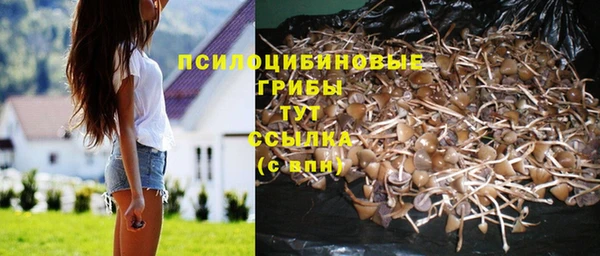 ешки Абдулино