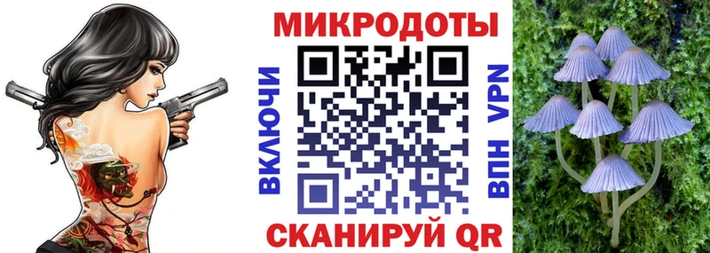 Псилоцибиновые грибы мухоморы  купить  сайты  Куртамыш 